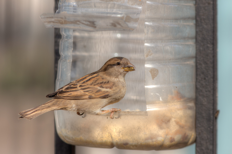 Find tranquility: How de-cluttering lowers stress levels