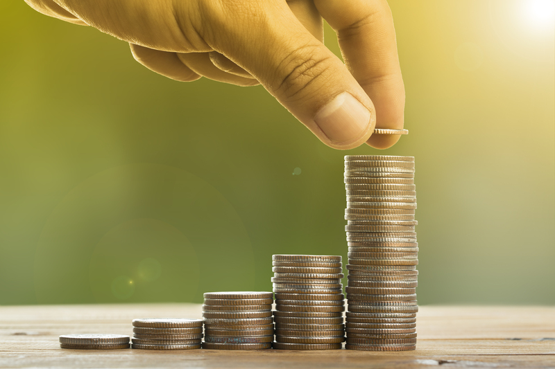 Understanding the Basics of Mini Skips